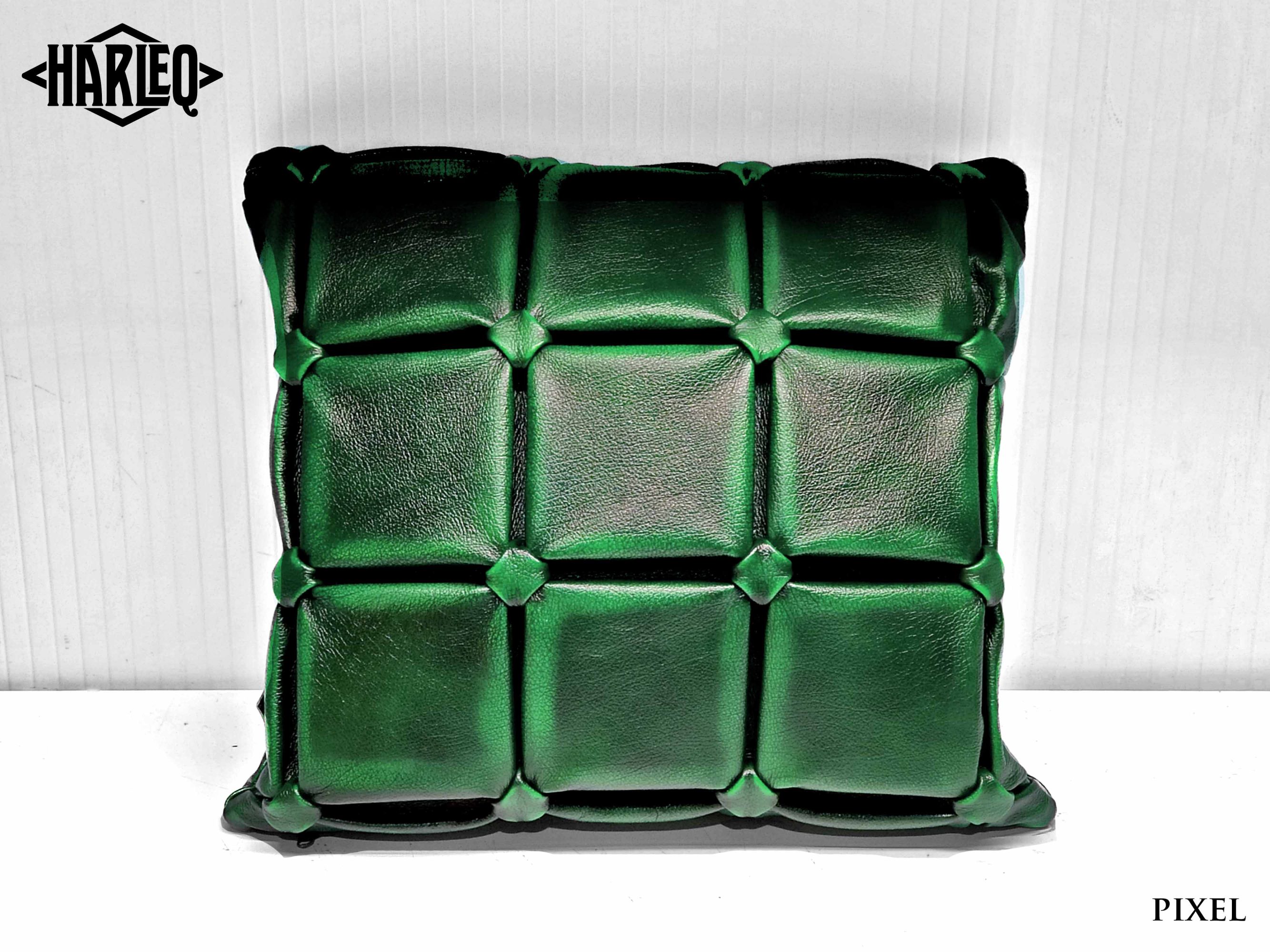 Green hotsell leather pillow